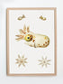 framed quirky wall art